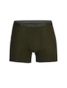 Pánské boxerky Icebreaker  Anatomica Boxers LODEN