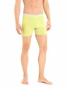 Pánské boxerky Icebreaker  Anatomica Ether/Shine