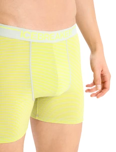 Pánské boxerky Icebreaker  Anatomica Ether/Shine