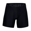 Pánské boxerky Under Armour  Tech 6in 2Pack Black