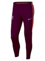 Pánské fotbalové kalhoty Nike Dry Squad FC Barcelona