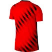Pánské fotbalové tričko Nike Dri-Fit Atlético Madrid červené