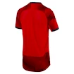 Pánské fotbalové tričko Puma Graphic Jersey Arsenal FC