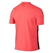 Pánské funkční tričko Nike Graphic Flash IV Pink/Black