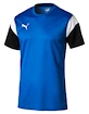 Pánské funkční tričko Puma TRG Blue