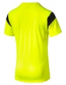 Pánské funkční tričko Puma TRG Yellow