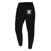 Pánské kalhoty 47 Brand  NHL Anaheim Ducks Imprint ’47 BURNSIDE Pants