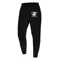 Pánské kalhoty 47 Brand  NHL Anaheim Ducks Imprint ’47 BURNSIDE Pants