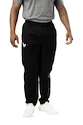 Pánské kalhoty Bauer  Team Lightweight Pant Black