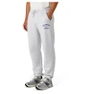 Pánské kalhoty CCM  Athleisure Jogger Grey Melange