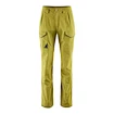 Pánské kalhoty Klättermusen  Grimner Pant Meadow Green/Meadow Green XL
