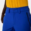 Pánské kalhoty Salewa  Agner Orval 3 DST M Reg Pants