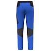 Pánské kalhoty Salewa  Pedroc 2 DST M Light Pants Electric