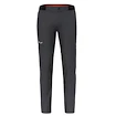 Pánské kalhoty Salewa  Pedroc 4 DST M Reg Pants  L