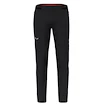 Pánské kalhoty Salewa  Pedroc 4 DST M Reg Pants  M