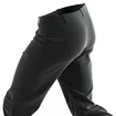 Pánské kalhoty Salomon  M Wayfarer Pants Black