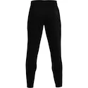 Pánské Kalhoty Under Armour Project Rock Terry Pants černé