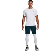Pánské legíny Under Armour HeatGear Leggings White