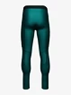 Pánské Legíny Under Armour HG IsoChill Perf Leggings modré