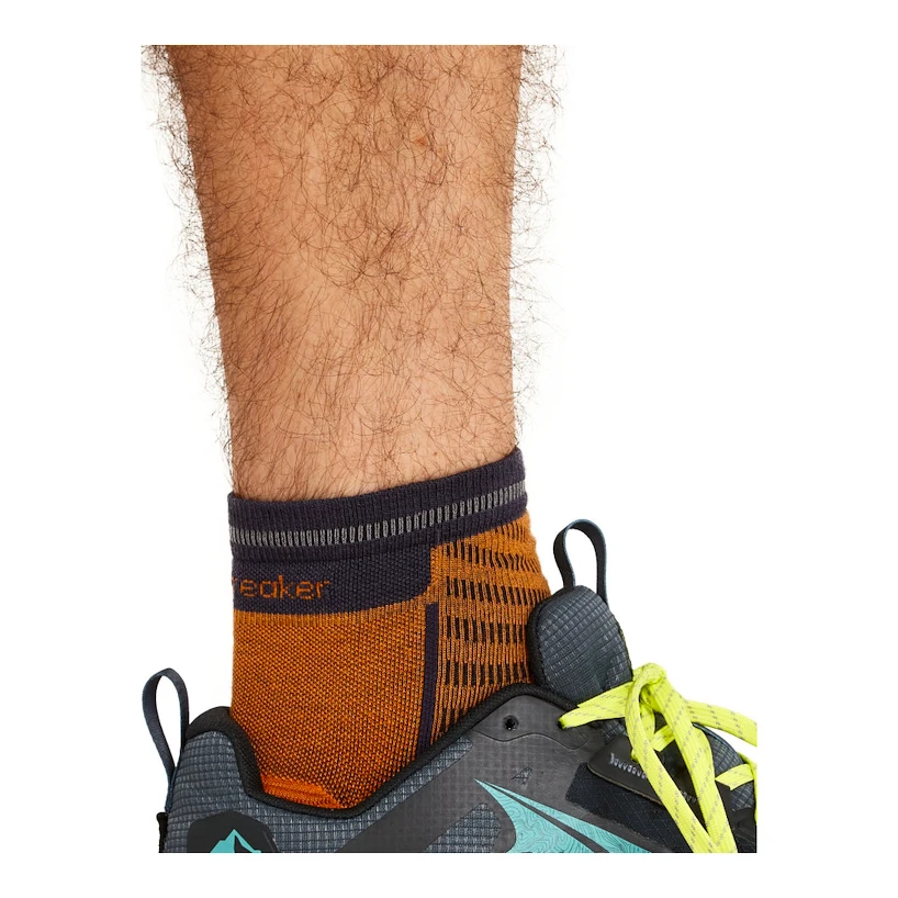 Pánské ponožky Icebreaker Merino Run+ Ultralight Mini Ray/Graphite  L