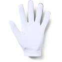 Pánské rukavice Under Armour  Medal Golf Glove grey LXL