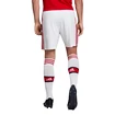 Pánské šortky adidas Arsenal FC domácí 19/20