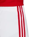 Pánské šortky adidas Arsenal FC domácí 19/20