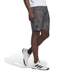 Pánské šortky adidas  Club Graphic Short Grey