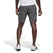 Pánské šortky adidas  Club Graphic Short Grey