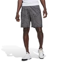 Pánské šortky adidas  Club Graphic Short Grey
