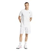 Pánské šortky adidas  Club Graphic Short White/Grey
