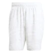 Pánské šortky adidas  Club Graphic Short White/Grey
