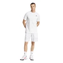 Pánské šortky adidas  Club Graphic Short White/Grey