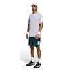 Pánské šortky adidas  Club Tennis Climacool 3-Stripes Shorts Aurora Ivy