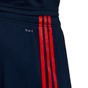Pánské šortky adidas FC Bayern Mnichov alternativní 19/20