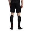 Pánské šortky adidas Manchester United FC alternativní 19/20