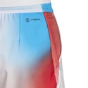 Pánské šortky adidas  Melbourne Ergo Printed Shorts White/Red