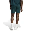 Pánské šortky adidas  Tennis Climacool Ergo Shorts Aurora Ivy