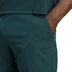 Pánské šortky adidas  Tennis Climacool Ergo Shorts Aurora Ivy