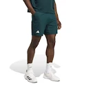 Pánské šortky adidas  Tennis Climacool Ergo Shorts Aurora Ivy
