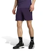 Pánské šortky adidas  Tennis Climacool Ergo Shorts Purple