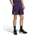 Pánské šortky adidas  Tennis Climacool Ergo Shorts Purple