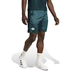 Pánské šortky adidas  Tennis Pro Climacool Ergo Shorts Aurora Ivy