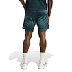 Pánské šortky adidas  Tennis Pro Climacool Ergo Shorts Aurora Ivy