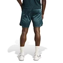 Pánské šortky adidas  Tennis Pro Climacool Ergo Shorts Aurora Ivy