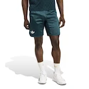 Pánské šortky adidas  Tennis Pro Climacool Ergo Shorts Aurora Ivy