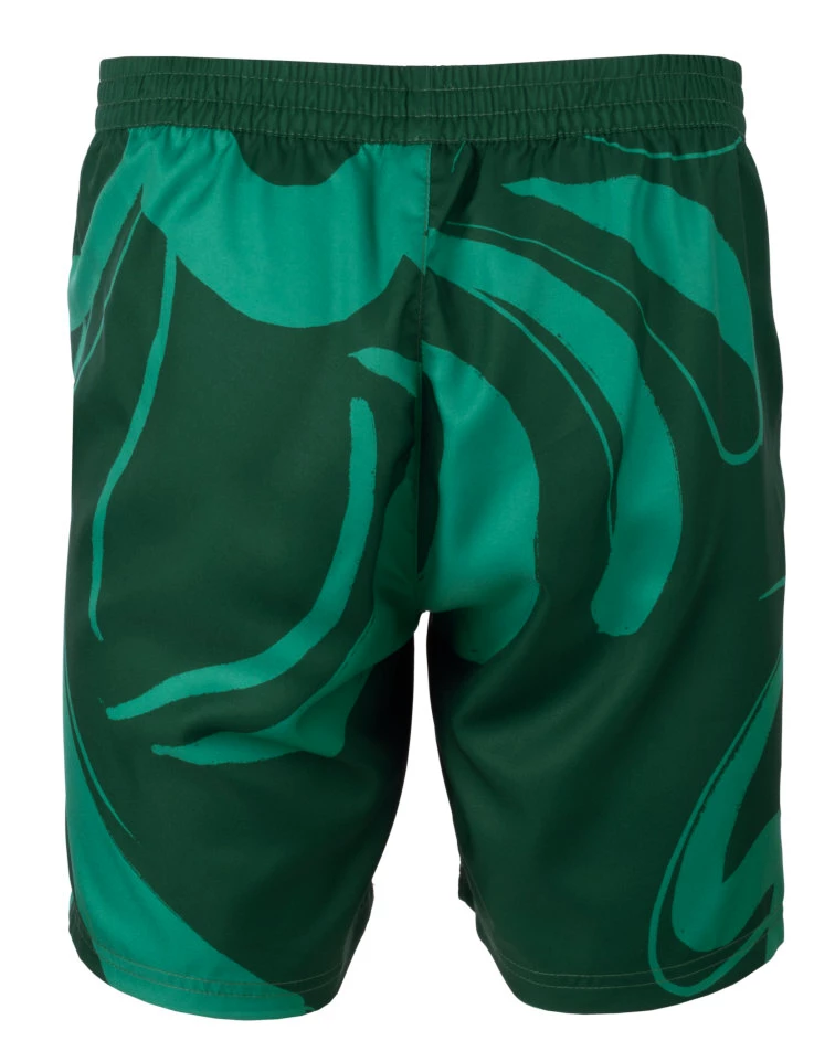 Pánské šortky Fila  Shorts Leo Aventurine/Print