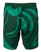 Pánské šortky Fila  Shorts Leo Aventurine/Print