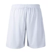 Pánské šortky FZ Forza  Landos M Shorts White