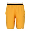 Pánské šortky Head  Performance Shorts Men BN